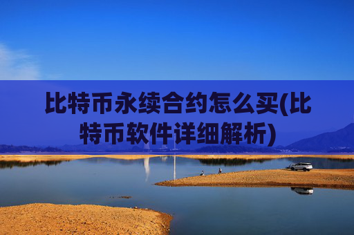 比特币永续合约怎么买(比特币软件详细解析)
