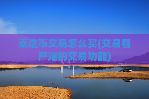 泰达币交易怎么买(交易客户端的交易功能)