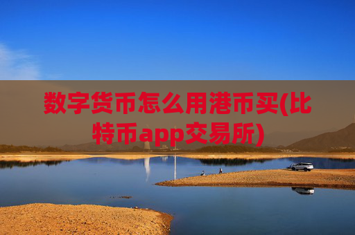 数字货币怎么用港币买(比特币app交易所)