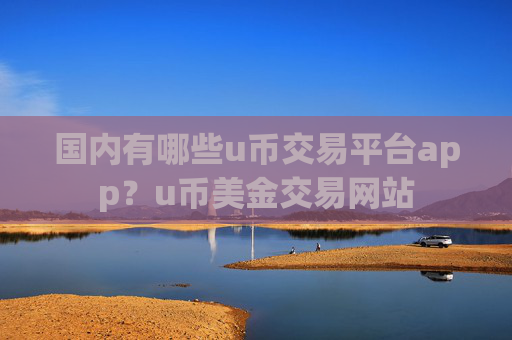国内有哪些u币交易平台app?u币美金交易网站