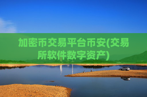 加密币交易平台币安(交易所软件数字资产)