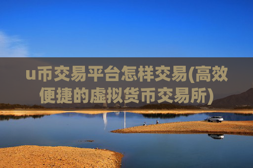 u币交易平台怎样交易(高效便捷的虚拟货币交易所)