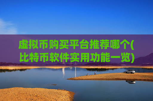 虚拟币购买平台推荐哪个(比特币软件实用功能一览)
