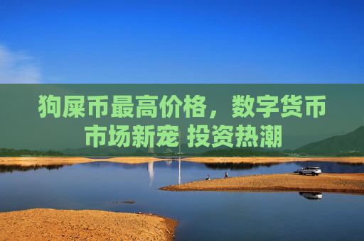 狗屎币最高价格,数字货币市场新宠 投资热潮