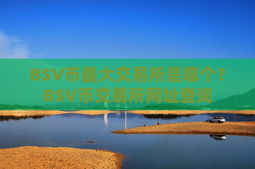 BSV币最大交易所是哪个?BSV币交易所网址查询