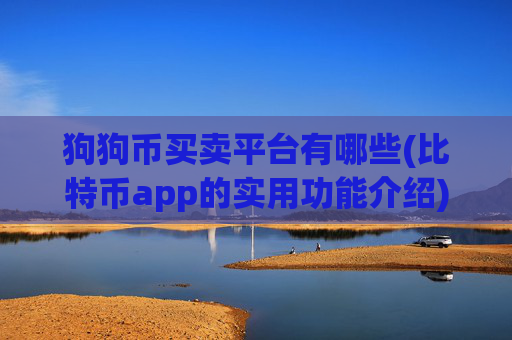 狗狗币买卖平台有哪些(比特币app的实用功能介绍)
