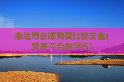 泰达币去哪购买比较安全(交易平台数字币)