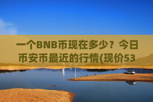 一个BNB币现在多少?今日币安币最近的行情(现价5305.34元)