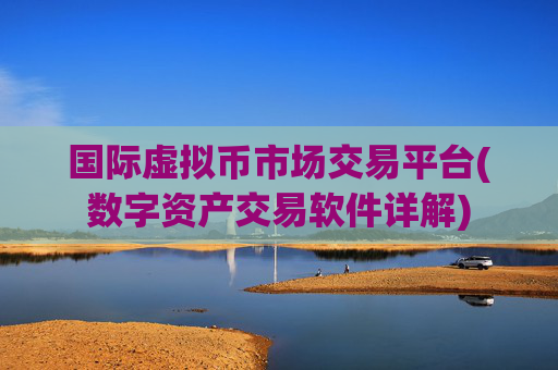 国际虚拟币市场交易平台(数字资产交易软件详解)