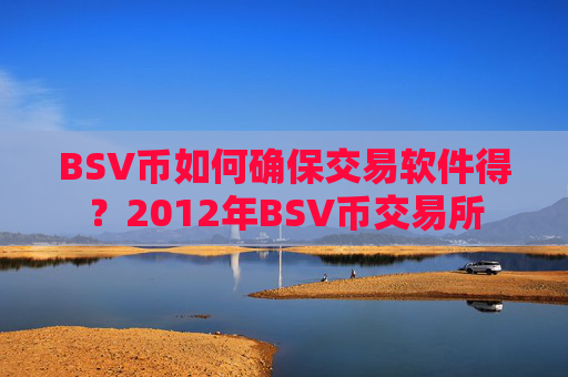 BSV币如何确保交易软件得?2012年BSV币交易所