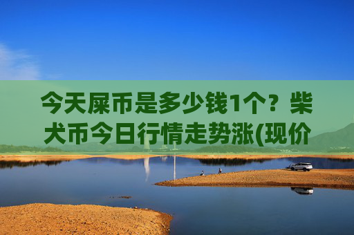 今天屎币是多少钱1个?柴犬币今日行情走势涨(现价0.00023163元)