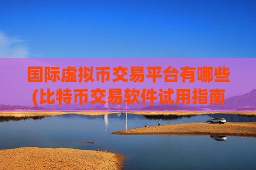 国际虚拟币交易平台有哪些(比特币交易软件试用指南)