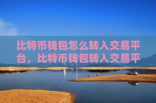 比特币钱包怎么转入交易平台，比特币钱包转入交易平台步骤指南