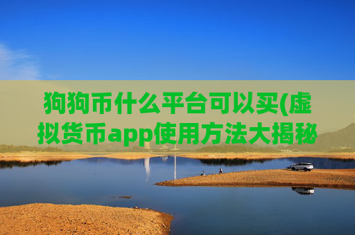 狗狗币什么平台可以买(虚拟货币app使用方法大揭秘)