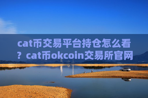 cat币交易平台持仓怎么看?cat币okcoin交易所官网