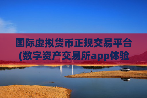国际虚拟货币正规交易平台(数字资产交易所app体验点评)