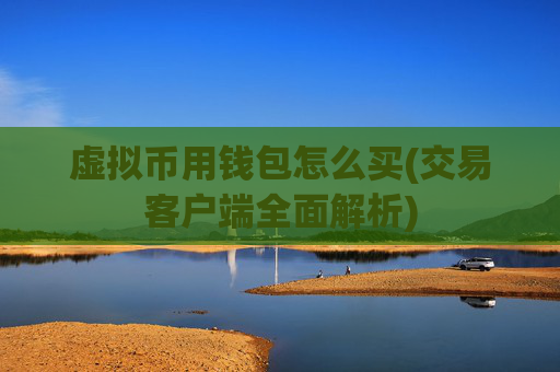 虚拟币用钱包怎么买(交易客户端全面解析)