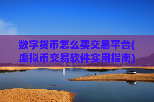 数字货币怎么买交易平台(虚拟币交易软件实用指南)