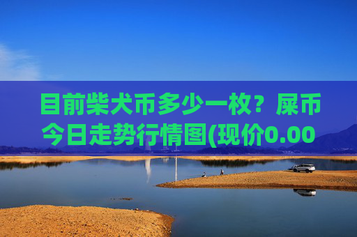 目前柴犬币多少一枚？屎币今日走势行情图(现价0.00022909元)