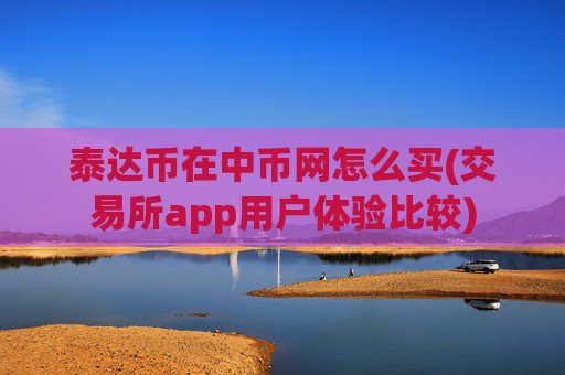 泰达币在中币网怎么买(交易所app用户体验比较)
