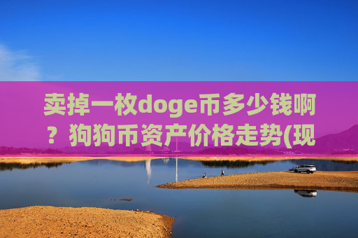 卖掉一枚doge币多少钱啊?狗狗币资产价格走势(现价3.2864元)