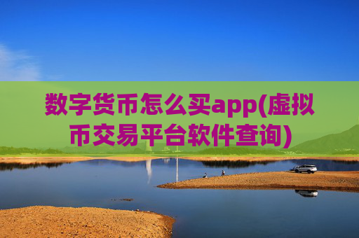 数字货币怎么买app(虚拟币交易平台软件查询)