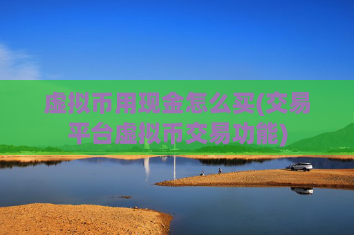 虚拟币用现金怎么买(交易平台虚拟币交易功能)