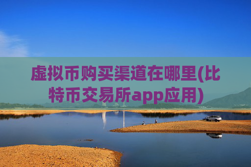 虚拟币购买渠道在哪里(比特币交易所app应用)
