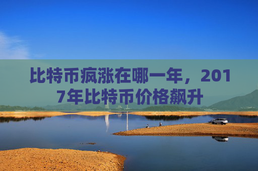 比特币疯涨在哪一年，2017年比特币价格飙升