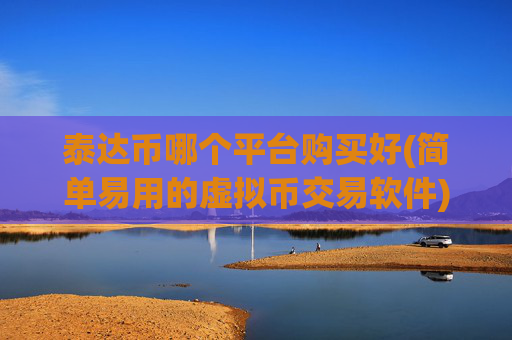泰达币哪个平台购买好(简单易用的虚拟币交易软件)