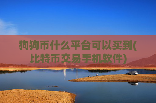 狗狗币什么平台可以买到(比特币交易手机软件)