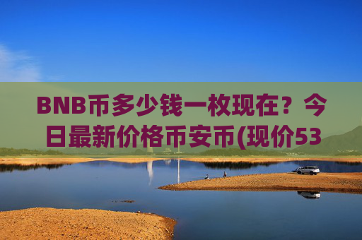BNB币多少钱一枚现在?今日最新价格币安币(现价5311.88元)