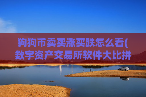 狗狗币卖买涨买跌怎么看(数字资产交易所软件大比拼)