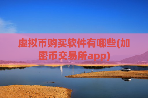 虚拟币购买软件有哪些(加密币交易所app)