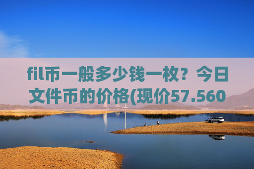 fil币一般多少钱一枚?今日文件币的价格(现价57.5606元)