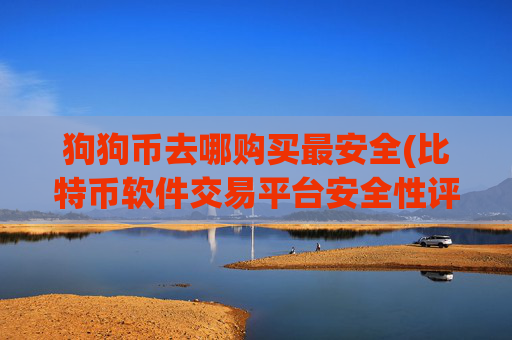 狗狗币去哪购买最安全(比特币软件交易平台安全性评估)