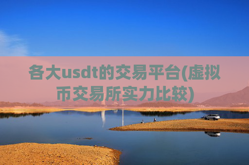 各大usdt的交易平台(虚拟币交易所实力比较)