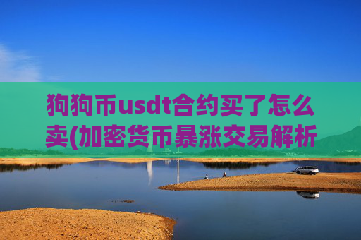 狗狗币usdt合约买了怎么卖(加密货币暴涨交易解析)