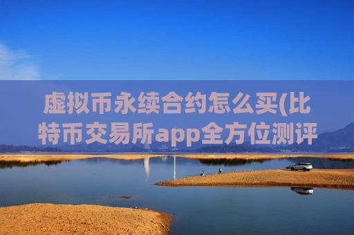 虚拟币永续合约怎么买(比特币交易所app全方位测评)