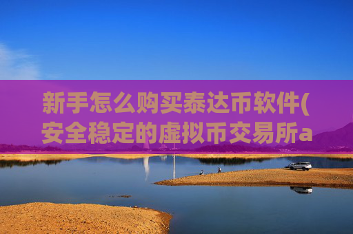 新手怎么购买泰达币软件(安全稳定的虚拟币交易所app)