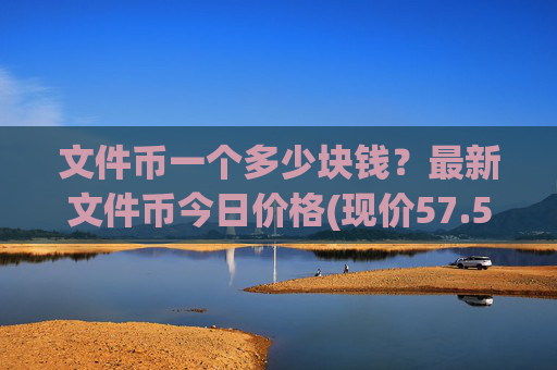 文件币一个多少块钱?最新文件币今日价格(现价57.5653元)