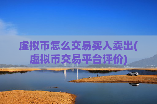虚拟币怎么交易买入卖出(虚拟币交易平台评价)