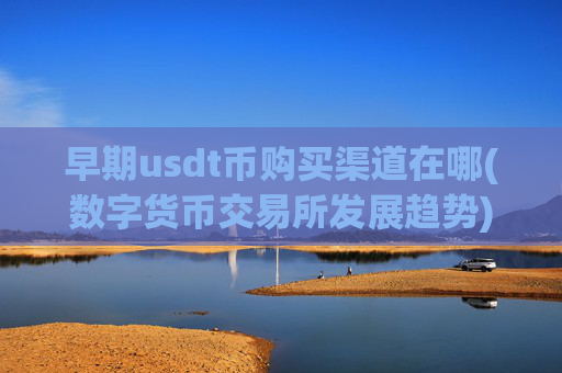 早期usdt币购买渠道在哪(数字货币交易所发展趋势)