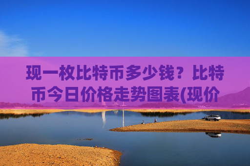 现一枚比特币多少钱？比特币今日价格走势图表(现价743673.9元)