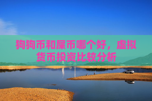 狗狗币和屎币哪个好,虚拟货币投资比较分析