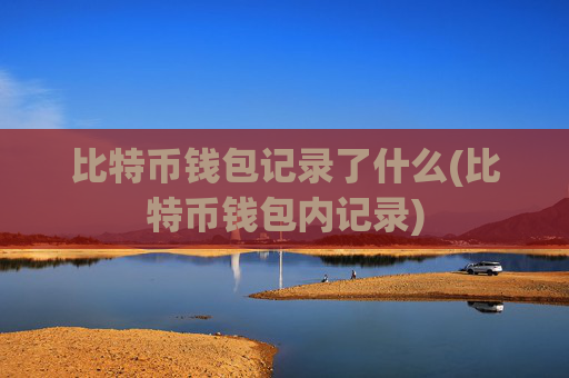 比特币钱包记录了什么(比特币钱包内记录)