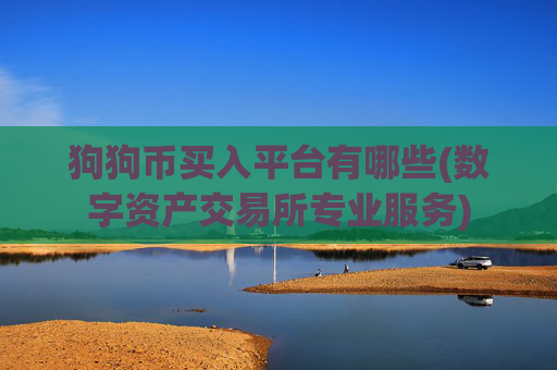 狗狗币买入平台有哪些(数字资产交易所专业服务)