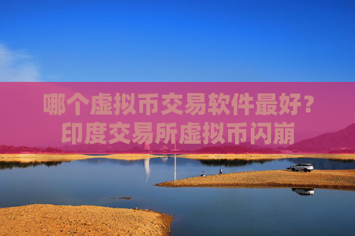 哪个虚拟币交易软件最好?印度交易所虚拟币闪崩