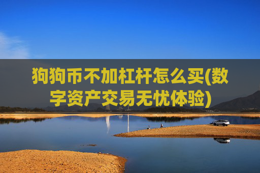 狗狗币不加杠杆怎么买(数字资产交易无忧体验)