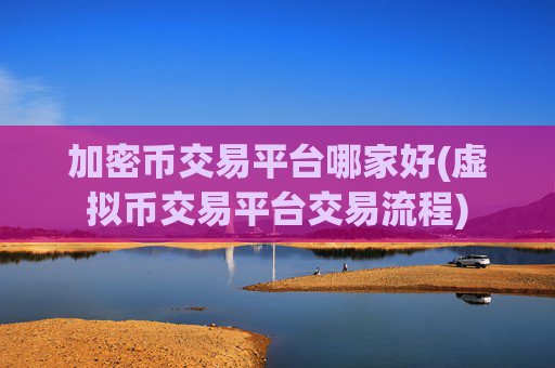 加密币交易平台哪家好(虚拟币交易平台交易流程)